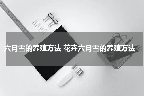 六月雪的养殖方法 花卉六月雪的养殖方法