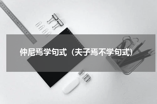 仲尼焉学句式（夫子焉不学句式）
