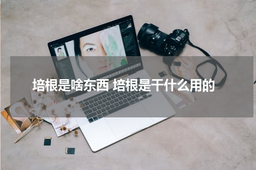 培根是啥东西 培根是干什么用的