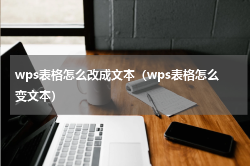 wps表格怎么改成文本（wps表格怎么变文本）
