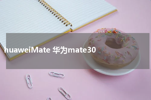 huaweiMate 华为mate30