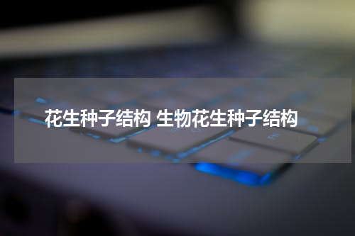 花生种子结构 生物花生种子结构