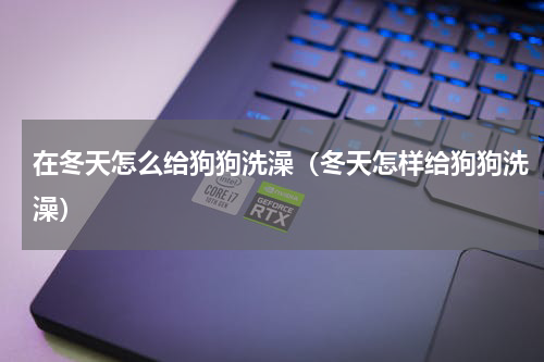 在冬天怎么给狗狗洗澡（冬天怎样给狗狗洗澡）