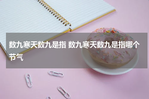 数九寒天数九是指 数九寒天数九是指哪个节气