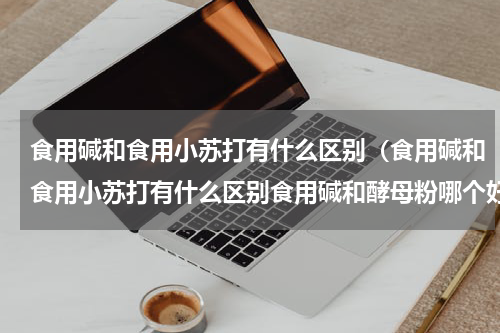 食用碱和食用小苏打有什么区别（食用碱和食用小苏打有什么区别食用碱和酵母粉哪个好）