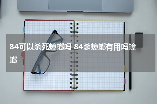 84可以杀死蟑螂吗 84杀蟑螂有用吗蟑螂