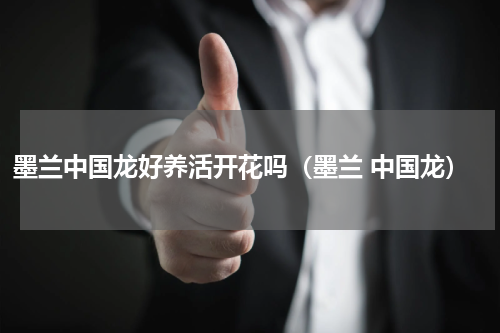 墨兰中国龙好养活开花吗（墨兰 中国龙）