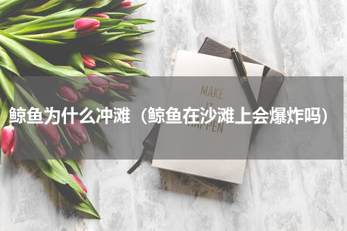 鲸鱼为什么冲滩（鲸鱼在沙滩上会爆炸吗）