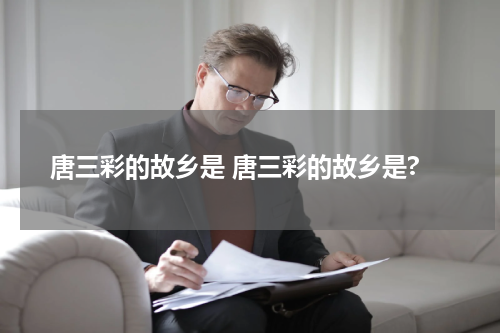 唐三彩的故乡是 唐三彩的故乡是?