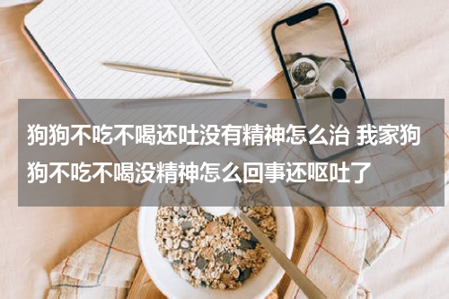 狗狗不吃不喝还吐没有精神怎么治 我家狗狗不吃不喝没精神怎么回事还呕吐了