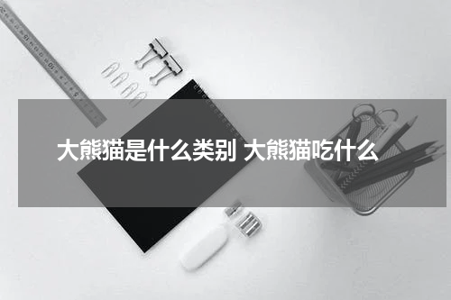 大熊猫是什么类别 大熊猫吃什么