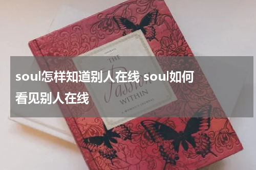 soul怎样知道别人在线 soul如何看见别人在线