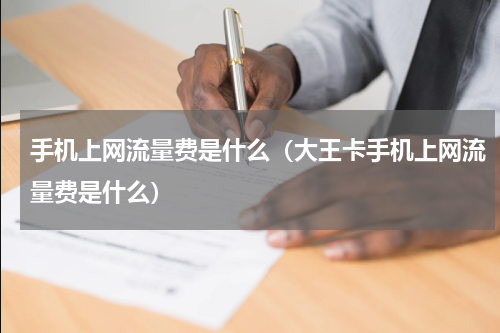 手机上网流量费是什么（大王卡手机上网流量费是什么）