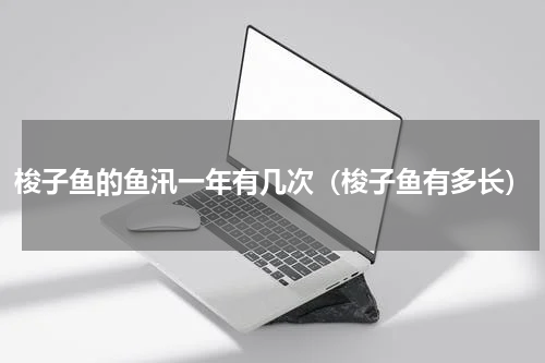 梭子鱼的鱼汛一年有几次（梭子鱼有多长）