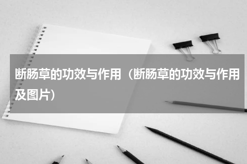 断肠草的功效与作用（断肠草的功效与作用及图片）