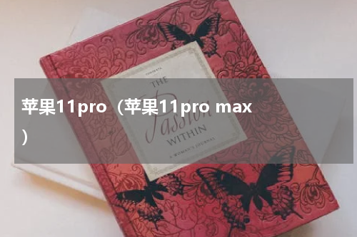 苹果11pro（苹果11pro max）