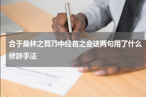 合于桑林之舞乃中经首之会这两句用了什么修辞手法