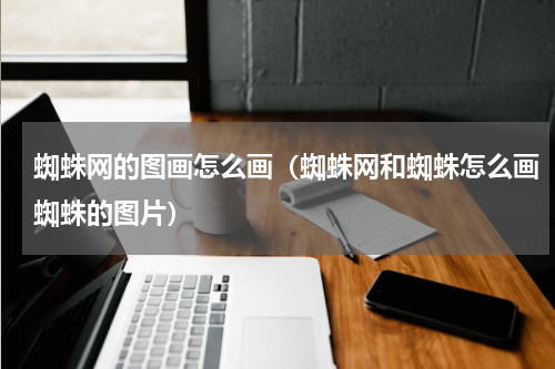 蜘蛛网的图画怎么画（蜘蛛网和蜘蛛怎么画蜘蛛的图片）