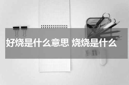 好烧是什么意思 烧烧是什么