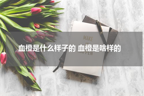 血橙是什么样子的 血橙是啥样的