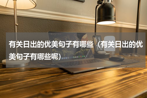 有关日出的优美句子有哪些（有关日出的优美句子有哪些呢）