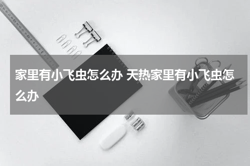 家里有小飞虫怎么办 天热家里有小飞虫怎么办