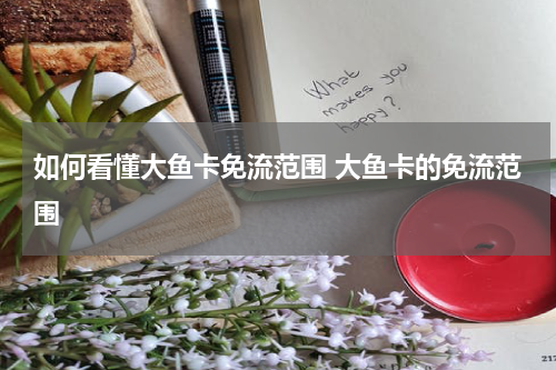 如何看懂大鱼卡免流范围 大鱼卡的免流范围