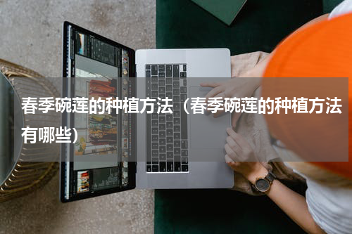 春季碗莲的种植方法（春季碗莲的种植方法有哪些）