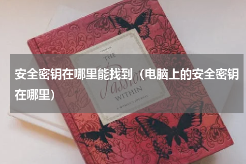 安全密钥在哪里能找到（电脑上的安全密钥在哪里）