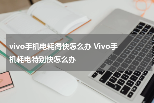 vivo手机电耗得快怎么办 Vivo手机耗电特别快怎么办