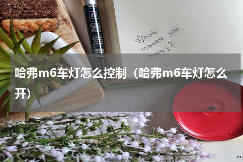 哈弗m6车灯怎么控制（哈弗m6车灯怎么开）