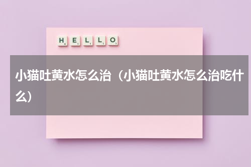 小猫吐黄水怎么治（小猫吐黄水怎么治吃什么）