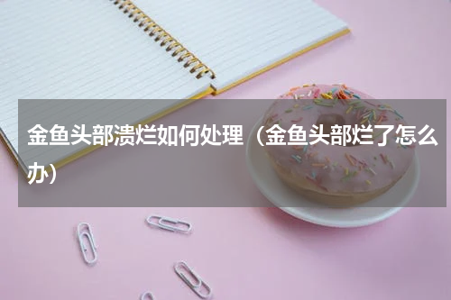 金鱼头部溃烂如何处理（金鱼头部烂了怎么办）