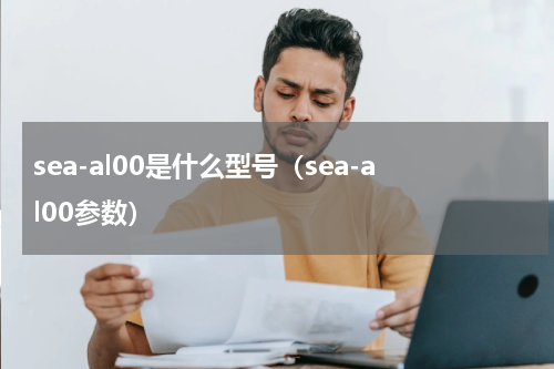 sea-al00是什么型号（sea-al00参数）