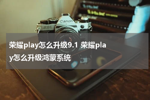 荣耀play怎么升级9.1 荣耀play怎么升级鸿蒙系统