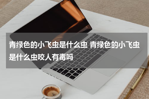 青绿色的小飞虫是什么虫 青绿色的小飞虫是什么虫咬人有毒吗