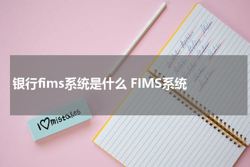 银行fims系统是什么 FIMS系统