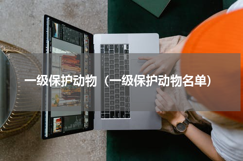 一级保护动物（一级保护动物名单）