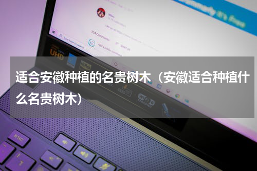 适合安徽种植的名贵树木（安徽适合种植什么名贵树木）