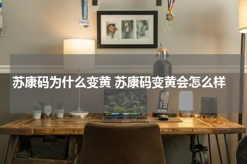 苏康码为什么变黄 苏康码变黄会怎么样