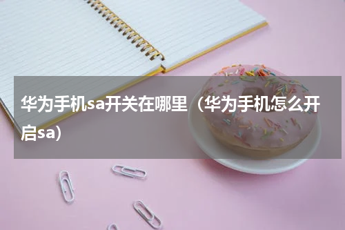 华为手机sa开关在哪里（华为手机怎么开启sa）