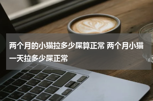 两个月的小猫拉多少屎算正常 两个月小猫一天拉多少屎正常
