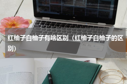 红柚子白柚子有啥区别（红柚子白柚子的区别）