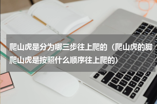 爬山虎是分为哪三步往上爬的（爬山虎的脚爬山虎是按照什么顺序往上爬的）