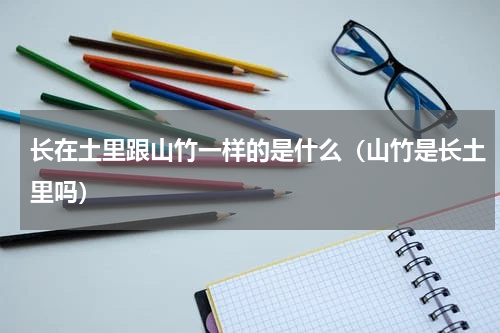 长在土里跟山竹一样的是什么（山竹是长土里吗）