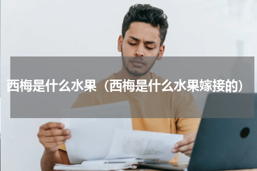 西梅是什么水果（西梅是什么水果嫁接的）