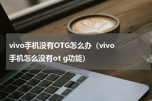 vivo手机没有OTG怎么办（vivo手机怎么没有ot g功能）