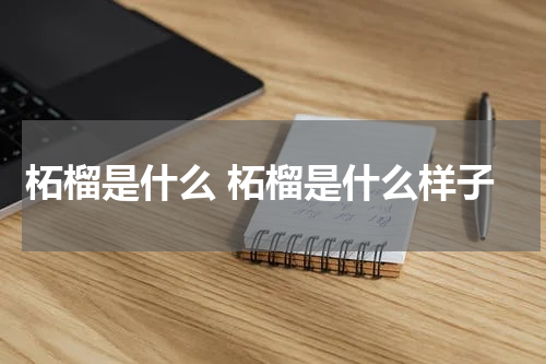 柘榴是什么 柘榴是什么样子