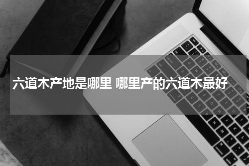 六道木产地是哪里 哪里产的六道木最好