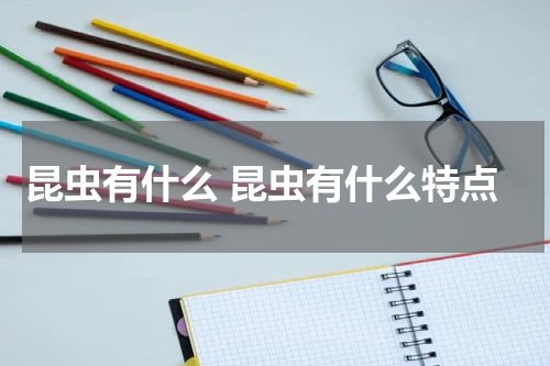 昆虫有什么 昆虫有什么特点